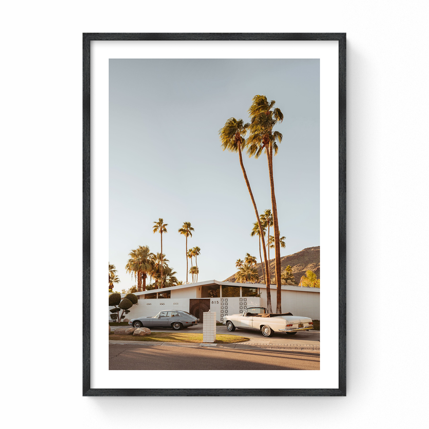 Parking Lot Elegance