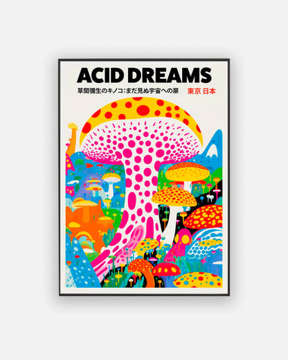 Acid Dreams poster