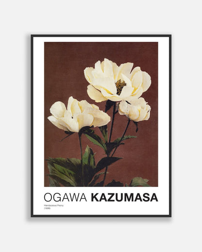 H������������rdaceous Peony By Kazumasa Ogawa