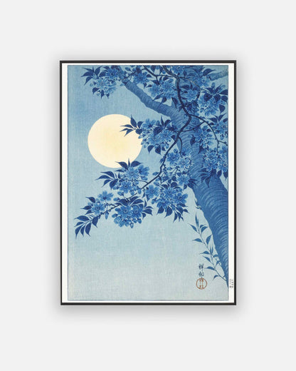 Cherry Blossoms and the Moon by Ohara Koson